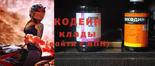 хмурый Струнино