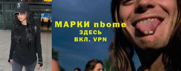 хмурый Струнино