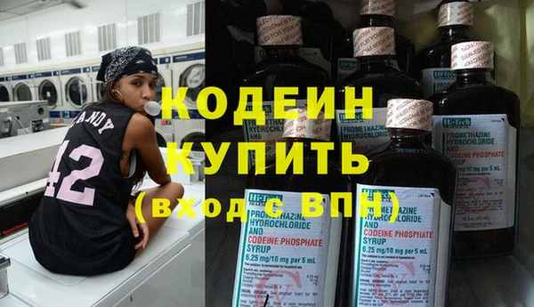 хмурый Струнино
