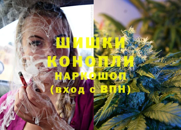 гидропоника Кемь