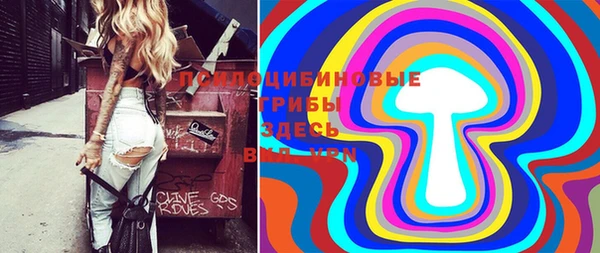 jwh Кедровый