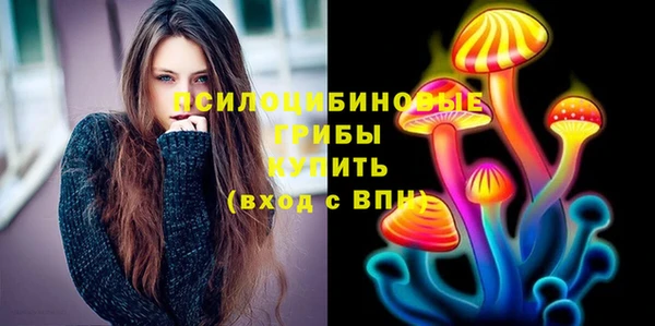 молекула духа Чегем