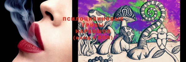 хмурый Струнино