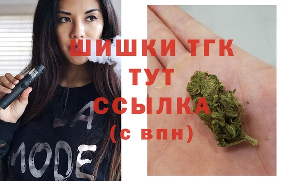 хмурый Струнино