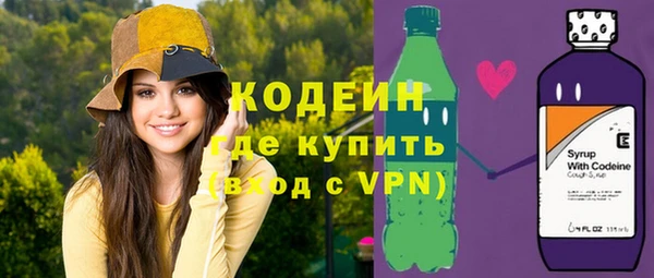 хмурый Струнино